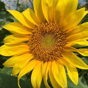 Meet your Posher, Paul